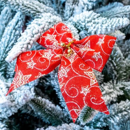 Set 2 fundite pentru brad